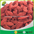 dried goji berries size 280, goji manufacture, goji wholesaler